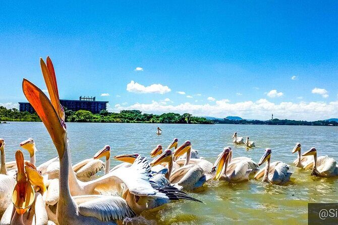 Full day Trip on Lake Tana - Key Points