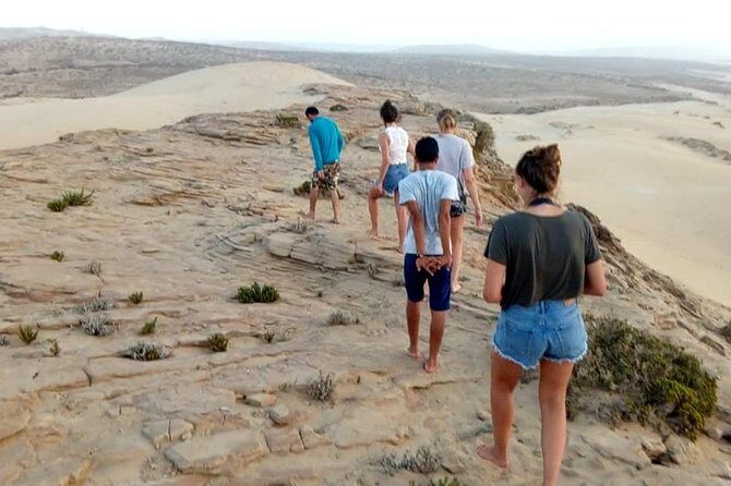 Full day Trip Paradise Valley and sand dunes with lunch - The Sum Up: Who Will Love This Tour?