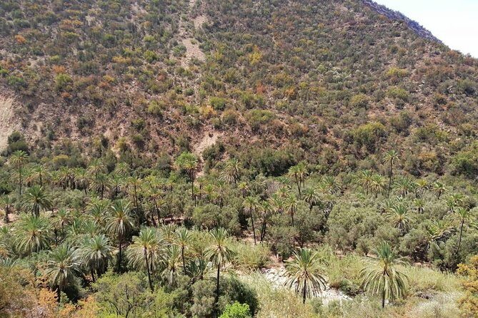 Full day Trip Paradise Valley and sand dunes with lunch - FAQ