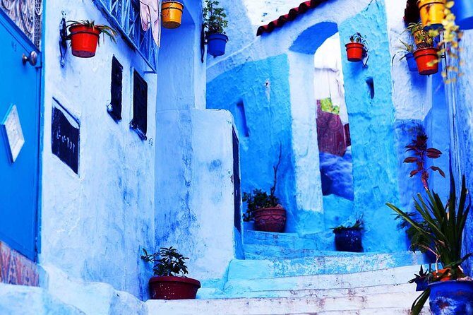 Full Day Trip to Chefchaouen and Tangier - The Sum Up