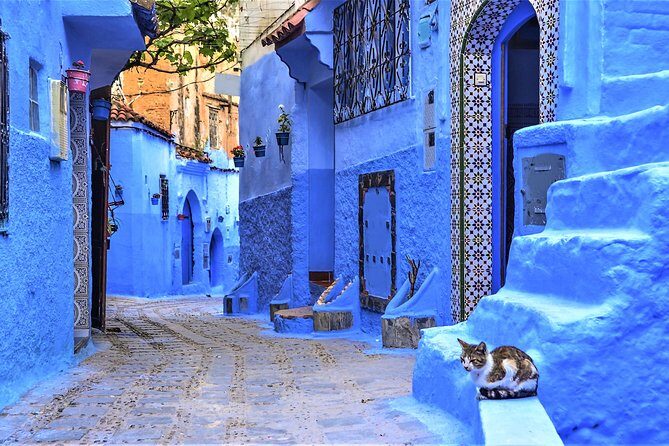 Full-Day Trip to Chefchaouen from Tangier - The Practicalities: What You Can Expect