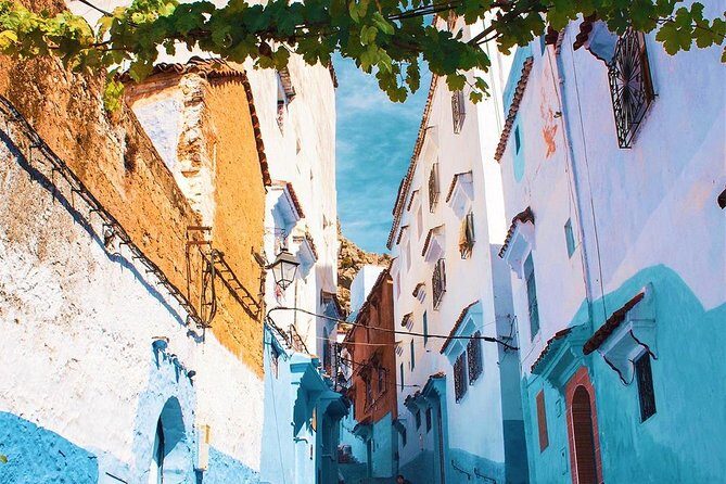 Full-Day Trip to Chefchaouen from Tangier - What Travelers Say
