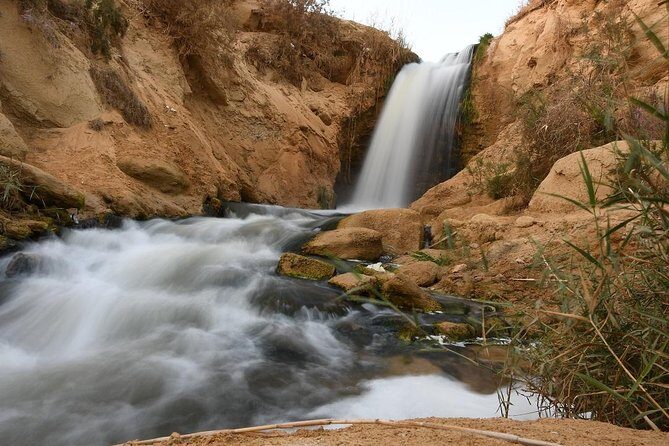 Full Day Trip to El-Fayoum Oasis & Wadi El-Hitan from Cairo - The Sum Up: Who Will Love This Tour?