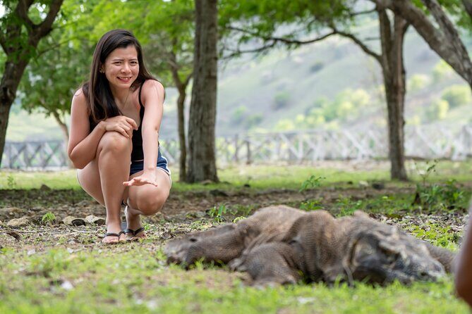 Full Day Trip to Explore 6 Destinations in Labuan Bajo and Komodo - The Real Experience: Balancing Pros and Cons