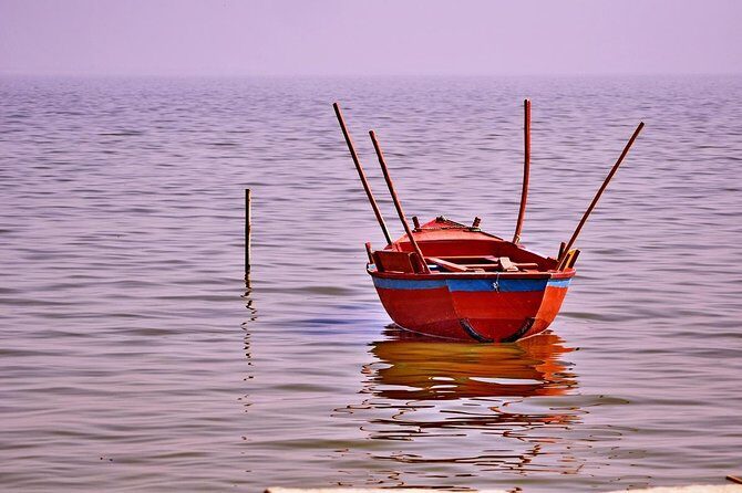 Full Day Trip to Fayoum Oasis from Cairo - Key Points
