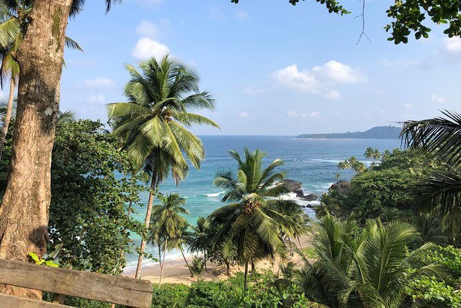 Full day trip to: North, Center, South and Equator, - What to Expect on the São Tomé Full-Day Tour