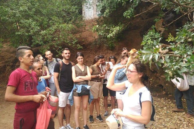 Full Day Trip To Ouzoud Waterfalls From Marrakech & boat ride - Who Should Consider This Tour?