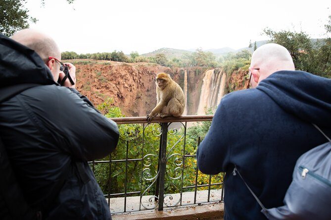 Full Day Trip To Ouzoud Waterfalls From Marrakech & Boat Tour - Practical Tips for Travelers
