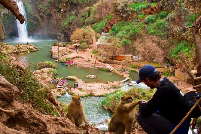 Full day trip to Ouzoud waterfalls from Marrakech - What the Reviews Tell Us