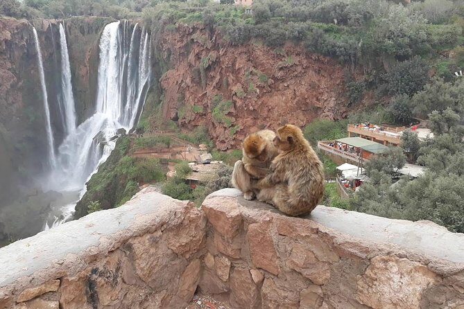 Full day trip to Ouzoud waterfalls from Marrakech - The Sum Up