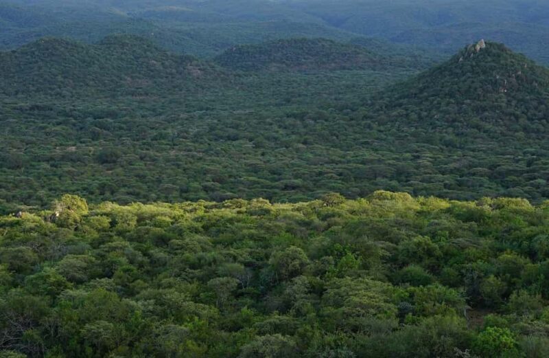 Full Day Trip to Pugu Forest from Dar es Salaam - Key Points