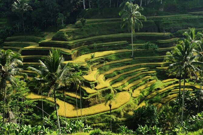 Full Day Ubud Art Village and Mount Batur Kintamani with Lunch - The Sum Up