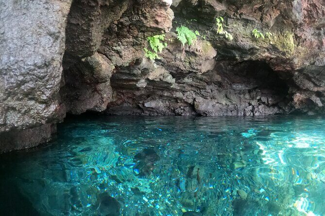 Full-Day Upolu Island Highlights Tour from Apia - Who Should Book This Tour?