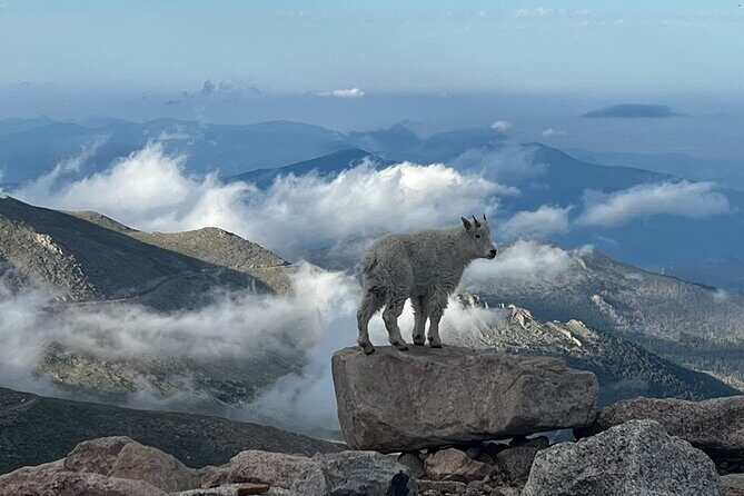 Full-Day Views and Scenic Mount Evans Private Guided Drive Tour - The Sum Up: Who Will Love This Tour?
