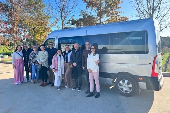 Full Day VIP Private Tour (Cruise Passengers Only) - Transportation and Comfort