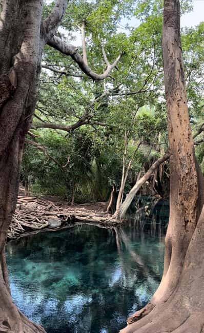 Full day visit to hotsprings, waterfalls and coffee tour - An Introduction to the Tour Experience
