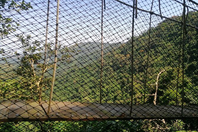 Full-Day Volta Experience ( Mount Gemi and Monkey Sanctuary) Private Tour - Key Points