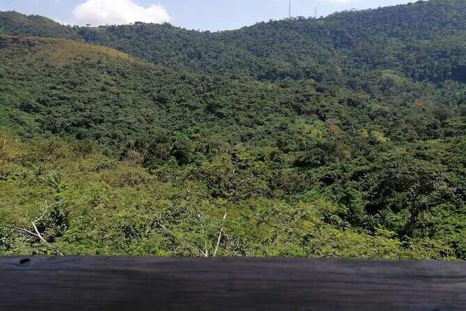Full-Day Volta Experience ( Mount Gemi and Monkey Sanctuary) Private Tour - An In-Depth Look at the Itinerary