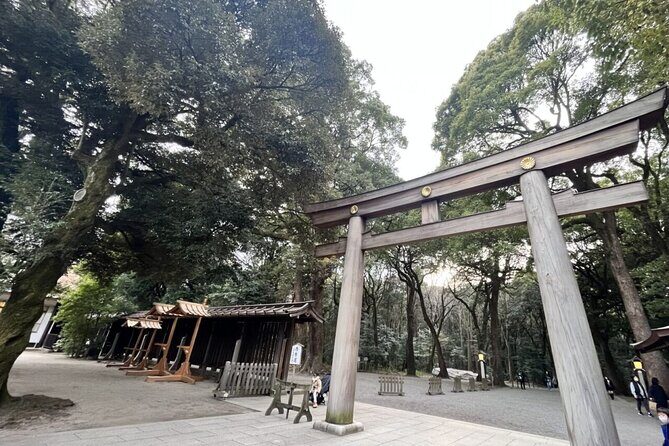 Full Day Walking Tour in Shinjuku and Shibuya - A Comprehensive Look at the Tour Experience