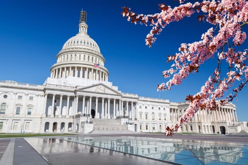 Full Day Washington DC & Mount Vernon Tour - Authenticity and Experience Value