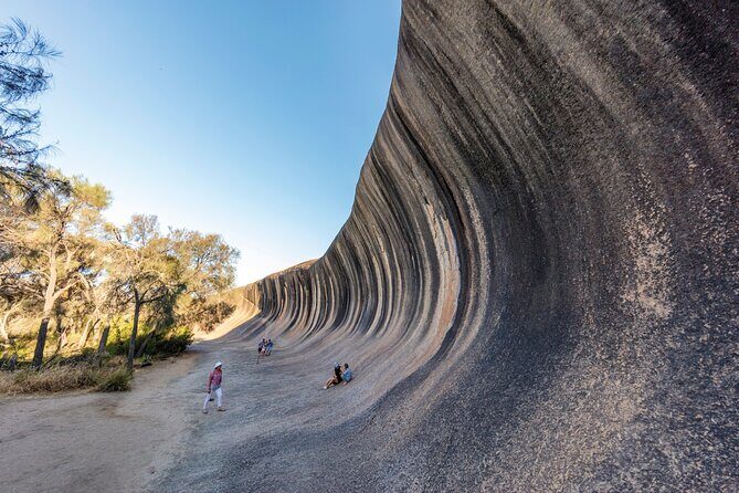 Full-Day Wave Rock & Historic York - Who Should Consider This Tour?