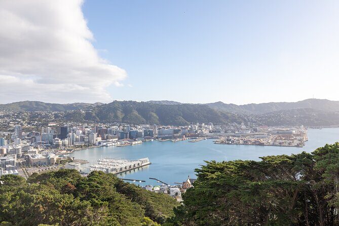Full Day Wellington Tour - Including maoritanga - Final Thoughts: Is It Right for You?