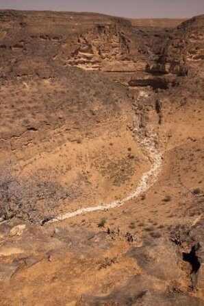 Full day west tour of Salalah - Key Points