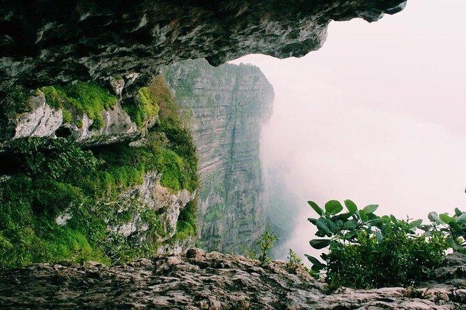 Full day west tour of Salalah - What Travelers Say