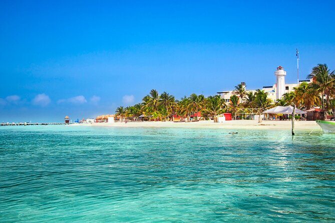 Full-Day Whale Shark Snorkeling Adventure with Beach Lunch - Who Will Love This Experience?