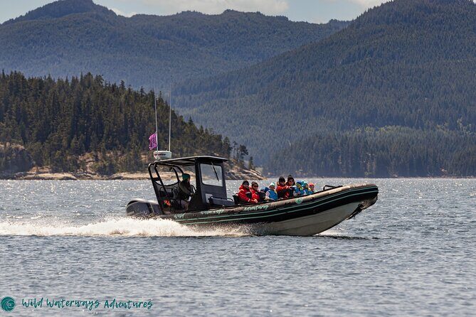 Full Day Whale Watching Campbell River - Why This Tour Stands Out