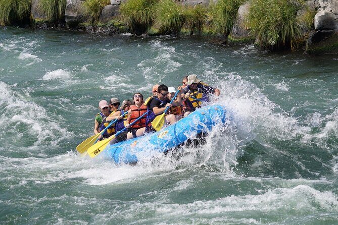 Full Day Whitewater Rafting - Deschutes River - Introduction