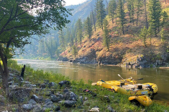 Full-Day Whitewater Rafting Tour on the Salmon River - The Sum Up: Why Pick This Tour?