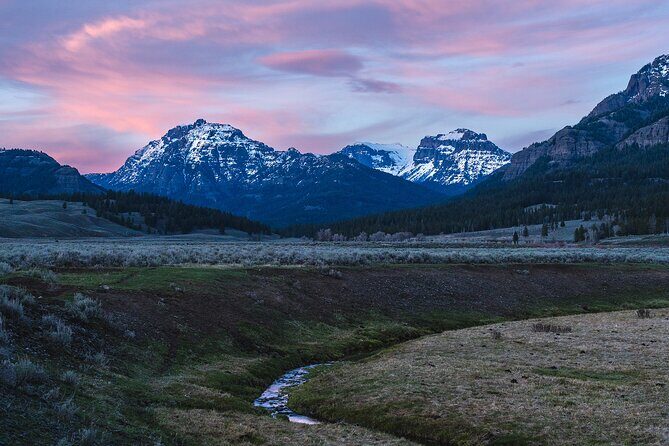 Full Day Wildlife Photography Tour In Yellowstone National Park - Key Points