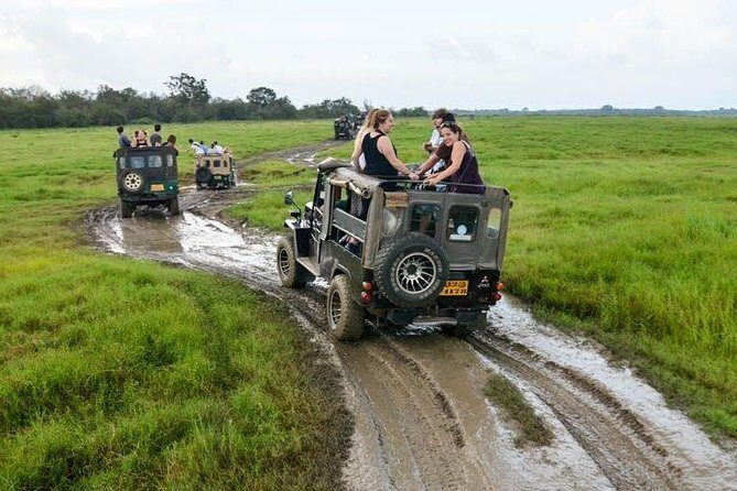 Full Day Wilpaththu National Park Safari (All Inclusive) - Introduction: A Closer Look at Wilpattu National Park Safari