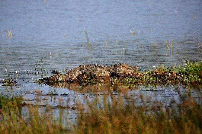 Full Day Wilpaththu National Park Safari (All Inclusive) - Key Points