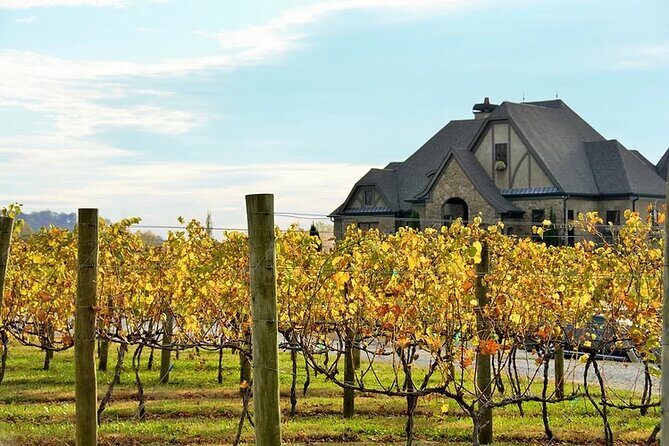 Full-Day Wine Country Wine Tastings From Atlanta - Key Points