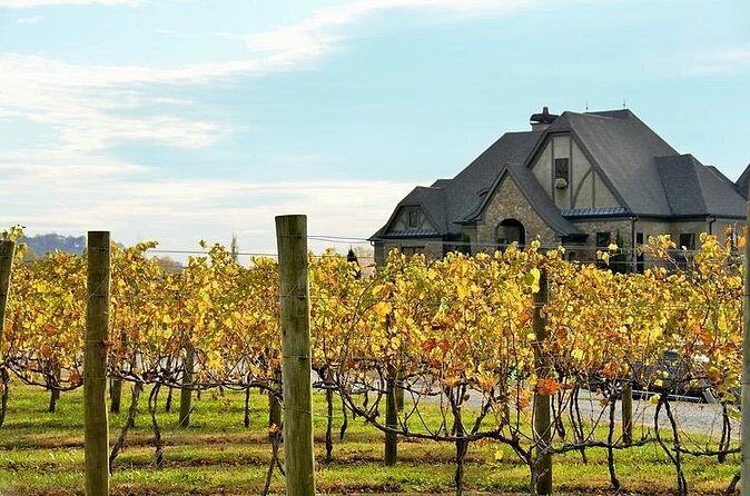 Full-Day Wine Country Wine Tastings From Atlanta - The Sum Up