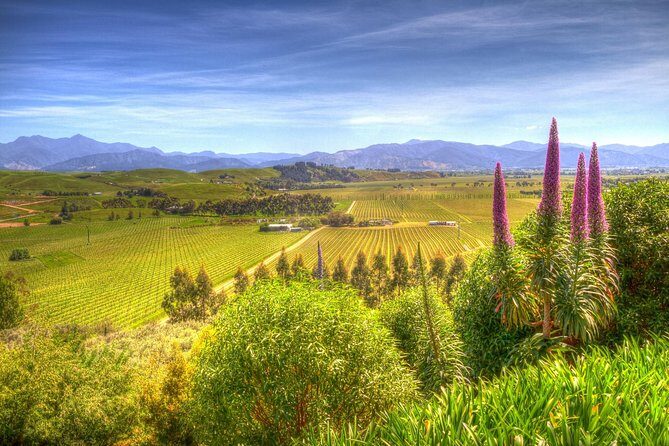 Full-Day Wine Gourmet and Scenic Delight Tour of Marlborough from Blenheim - Key Points
