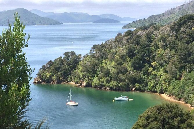 Full-Day Wine Gourmet and Scenic Delight Tour of Marlborough from Blenheim - FAQ