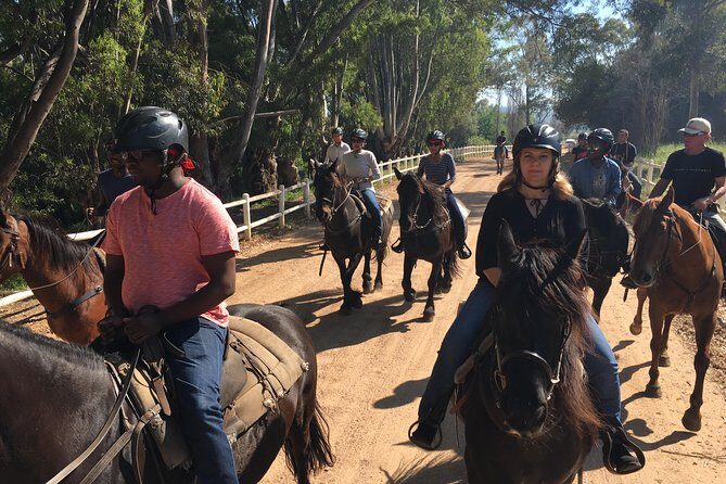 Full Day  Wine Tasting Horse Trail - The Private Estates and Wine Tastings