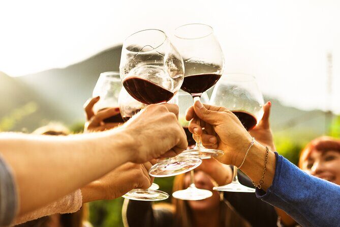 Full-Day Wine Tasting Tour in Auckland with 3-Course Vineyard Lunch - Why This Tour Is a Great Choice