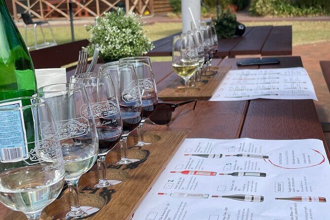 Full Day Wine Tasting Tour in McLaren Vale - Who This Tour Is Best For