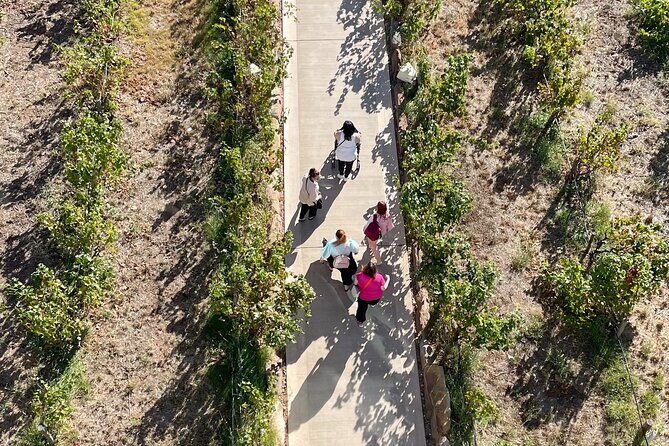 Full Day Wine Tasting Tour in McLaren Vale - Frequently Asked Questions