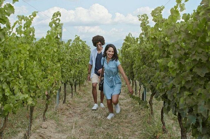 Full-Day Wine, Whiskey & Beer Tour w/ Lunch Pairing - Who Would Love This Tour?