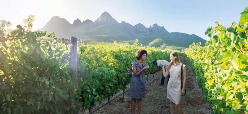 Full day Winelands Tour - Key Points