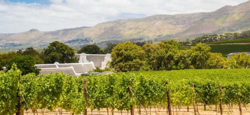 Full day Winelands Tour - The Practical Details: What You Need to Know