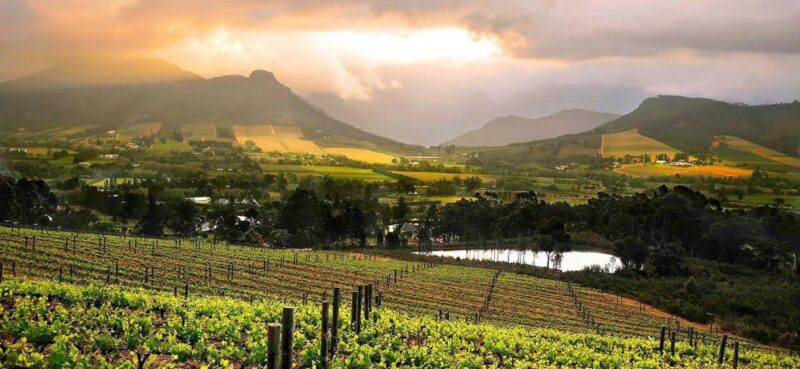 Full day Winelands Tour - Final Thoughts: Who Is This Tour Best For?