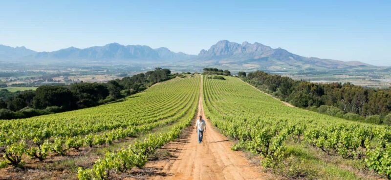 Full day Winelands Tour - FAQ