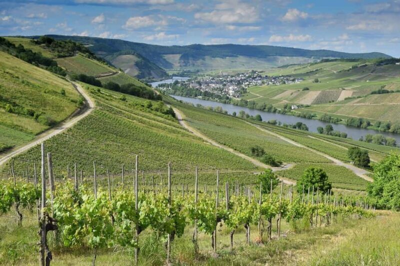 Full Day Winelands Tours - An Introduction to the Full Day Winelands Experience