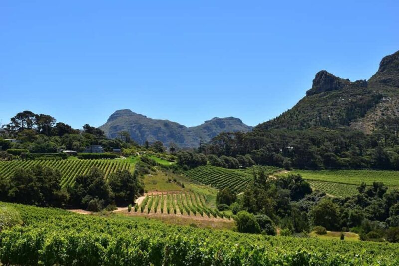Full Day Winelands Tours - Authentic Experiences and Practical Details